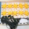 Moravian Garland Stars