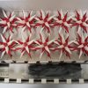 Moravian Garland Stars - Image 3
