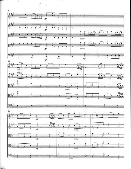 Six String Quintets: J F Peter Vol 1 - Image 6