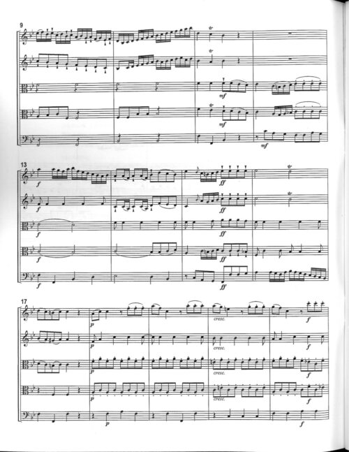 Six String Quintets: J F Peter Vol 3 - Image 3