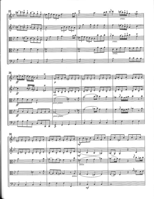 Six String Quintets: J F Peter Vol 3 - Image 4